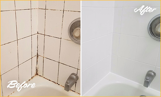 Before and After Picture of a Rising Sun Lebanon Shower Tile and Grout Cleaned to Eliminate Mold