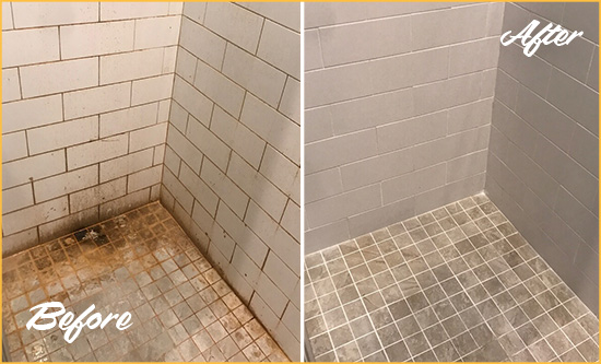 Before and After Picture of a Ellendale Shower Tile and Grout Cleaned to Eliminate Mold and Stains