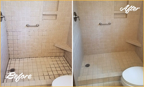 Before and After Picture of a Bear Shower Grout Cleaned to Remove Mold