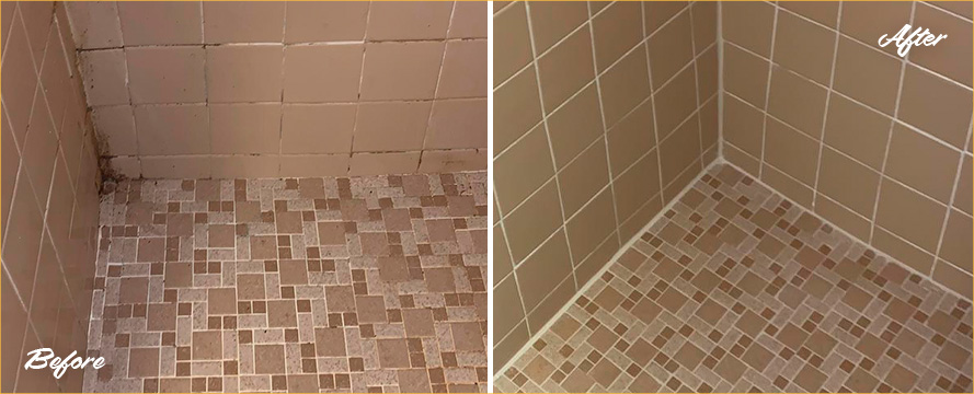 Image of a Shower Before and After a Grout Cleaning in Dover, DE