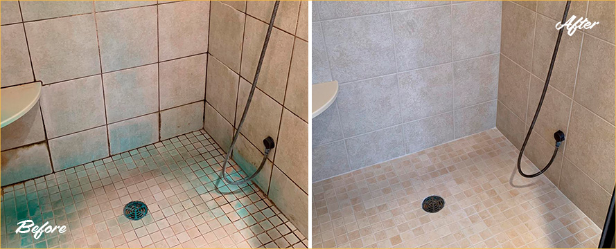 Before and After Porcelain Shower Grout Recoloring in Smyrna, De